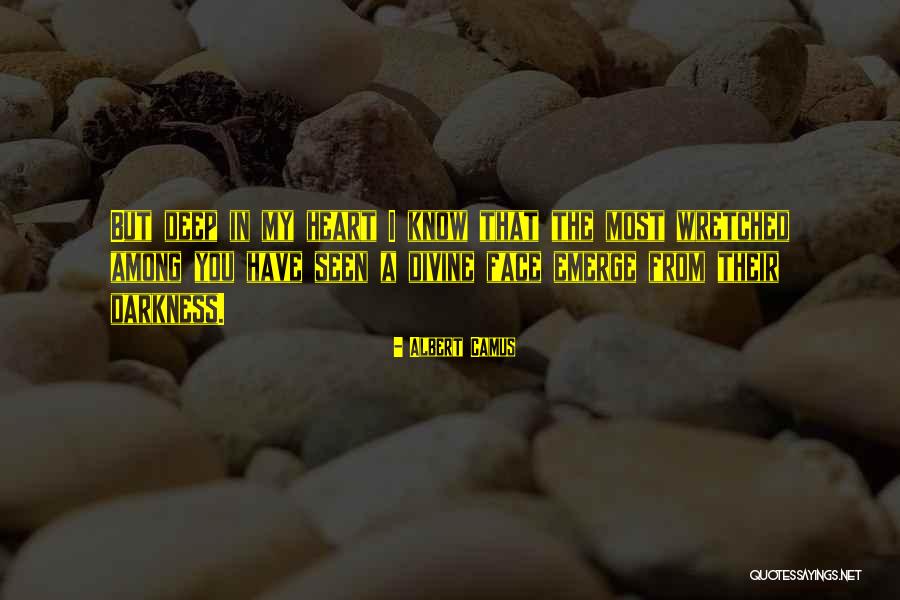 Imajyn Cardinals Height Quotes By Albert Camus Imajyn Cardinals Height Quotes By Albert Camus