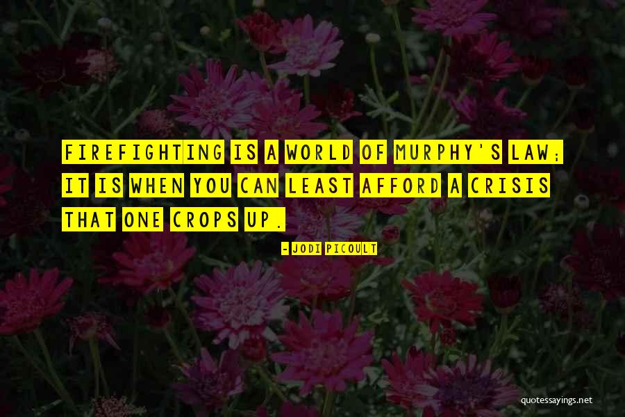Imari Ware Quotes By Jodi Picoult Imari Ware Quotes By Jodi Picoult