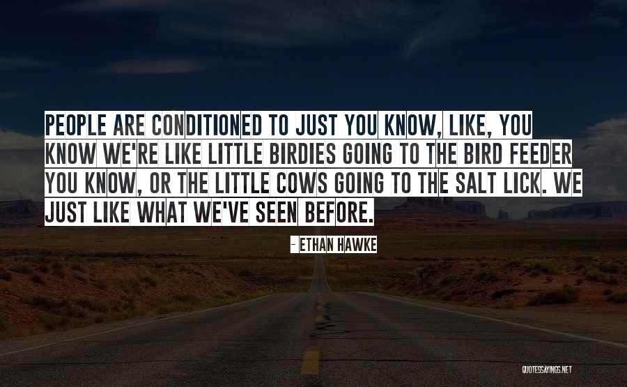 Imasimp Quotes By Ethan Hawke Imasimp Quotes By Ethan Hawke