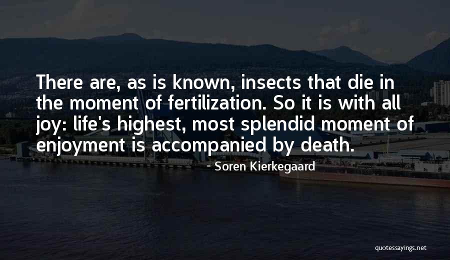 Imbatranirea Otelului Quotes By Soren Kierkegaard Imbatranirea Otelului Quotes By Soren Kierkegaard