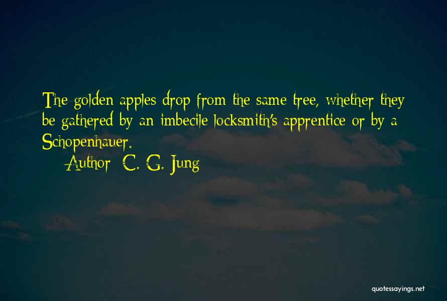 Imbecile Quotes By C. G. Jung