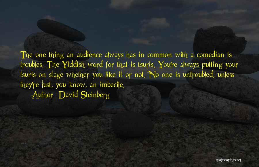 Imbecile Quotes By David Steinberg