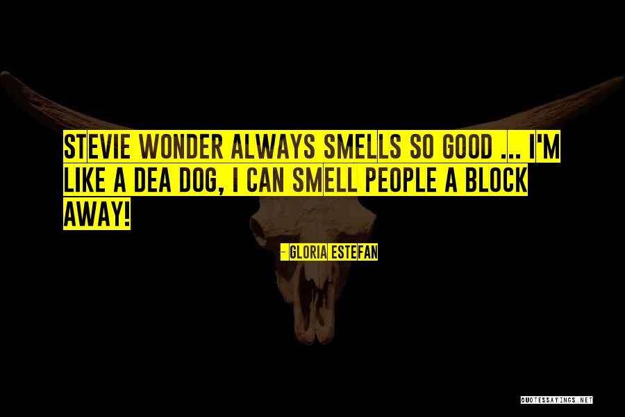 Imbecilicly Quotes By Gloria Estefan Imbecilicly Quotes By Gloria Estefan