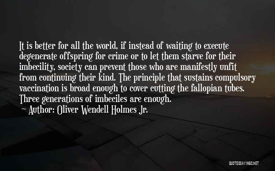 Imbecility Quotes By Oliver Wendell Holmes Jr.