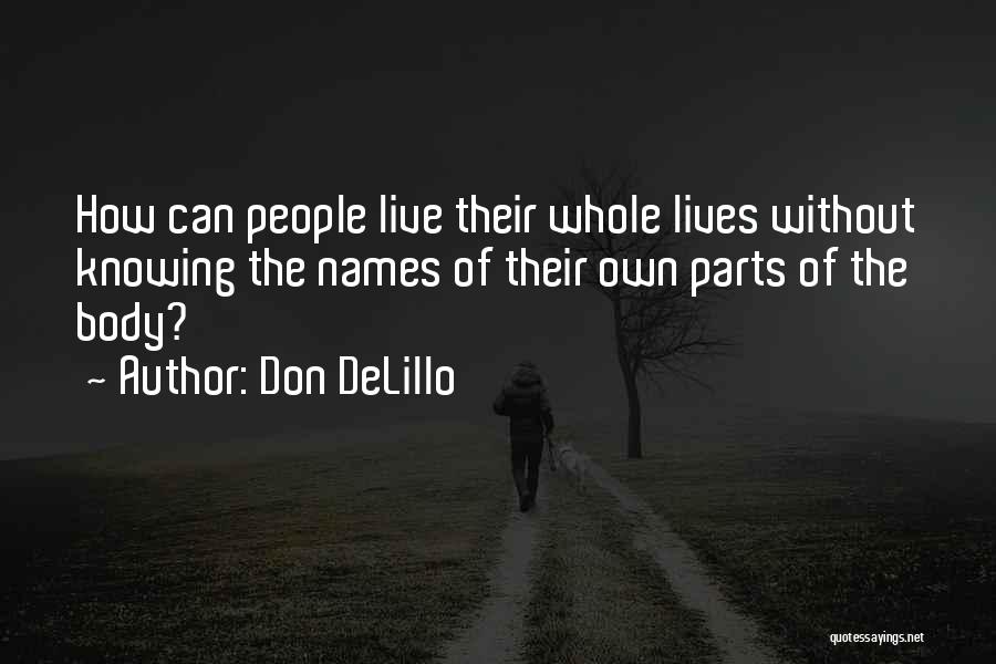 Imbrogliare Quotes By Don DeLillo