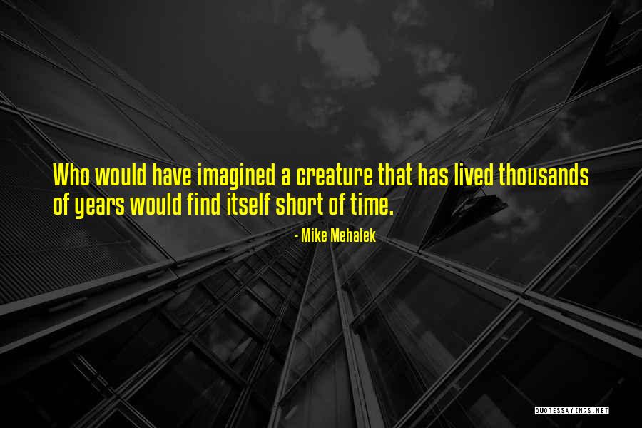 Imbrogno Washington Quotes By Mike Mehalek Imbrogno Washington Quotes By Mike Mehalek
