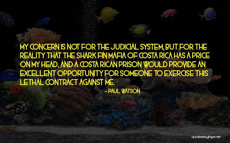 Imdb Transformers Revenge Of The Fallen Quotes By Paul Watson Imdb Transformers Revenge Of The Fallen Quotes By Paul Watson