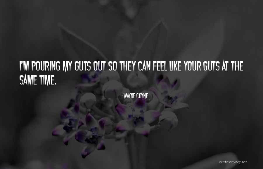Imerse Entertainment Quotes By Wayne Coyne Imerse Entertainment Quotes By Wayne Coyne