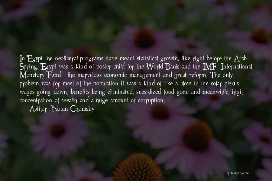 Imf Quotes By Noam Chomsky