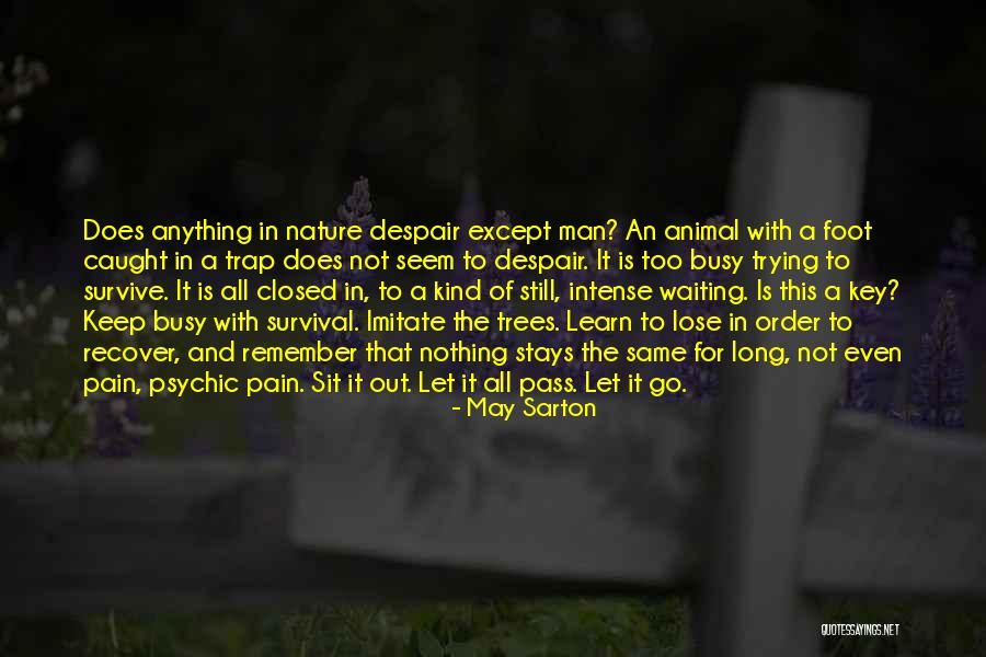 Imitate Nature Quotes By May Sarton Imitate Nature Quotes By May Sarton