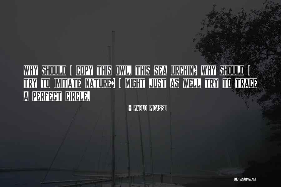 Imitate Nature Quotes By Pablo Picasso Imitate Nature Quotes By Pablo Picasso