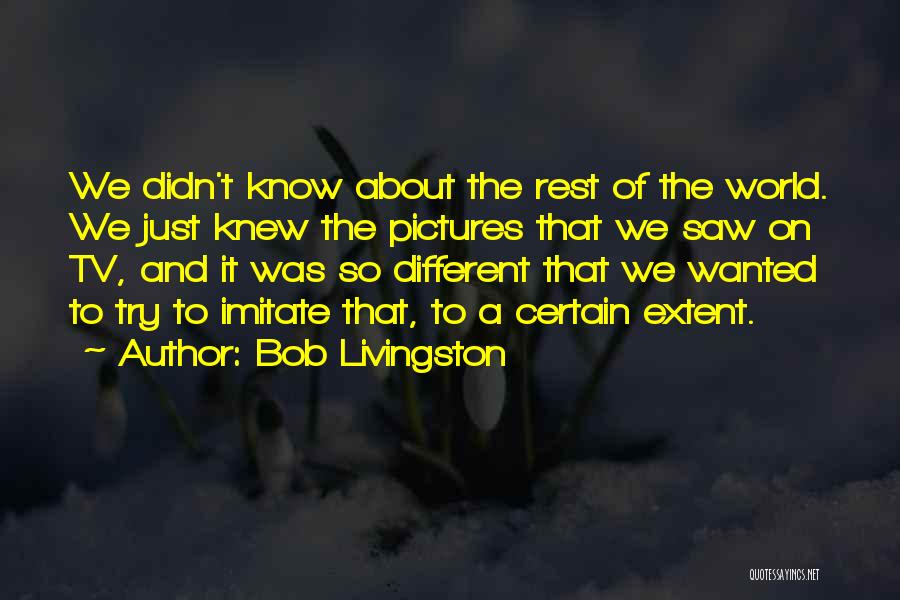 Imitate Quotes By Bob Livingston