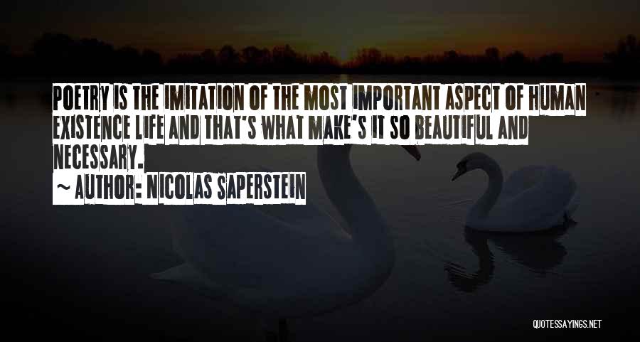 Imitation Of Life Quotes By Nicolas Saperstein