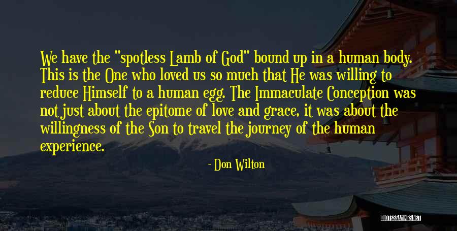 Immaculate Conception Quotes By Don Wilton Immaculate Conception Quotes By Don Wilton