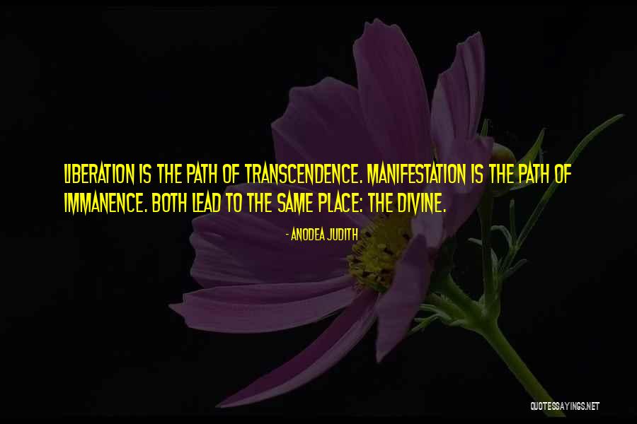 Immanence Vs Transcendence Quotes By Anodea Judith Immanence Vs Transcendence Quotes By Anodea Judith