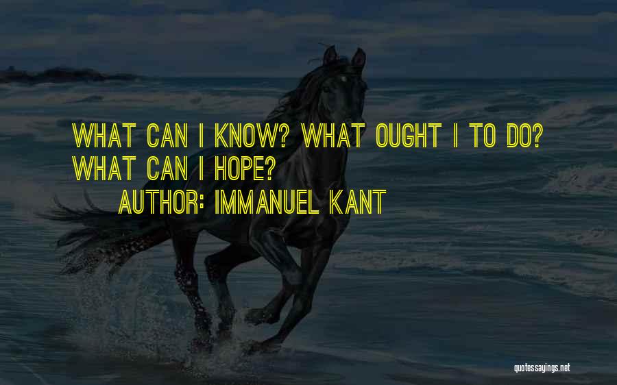 Immanuel Kant Quotes 1230693