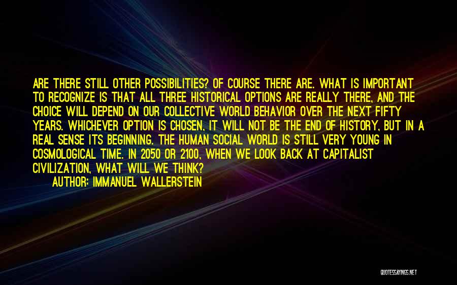 Immanuel Wallerstein Quotes 1422833