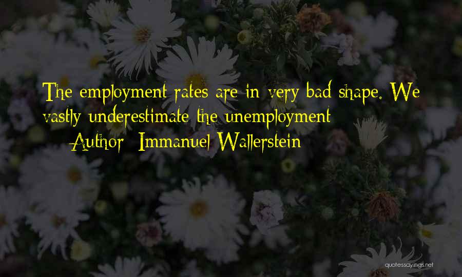 Immanuel Wallerstein Quotes 480777