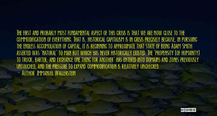 Immanuel Wallerstein Quotes 517755