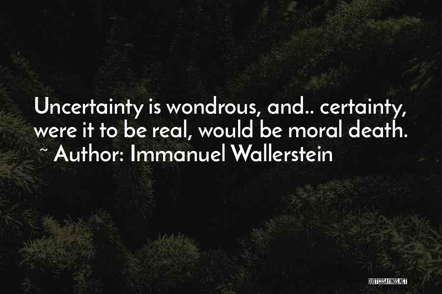 Immanuel Wallerstein Quotes 889598