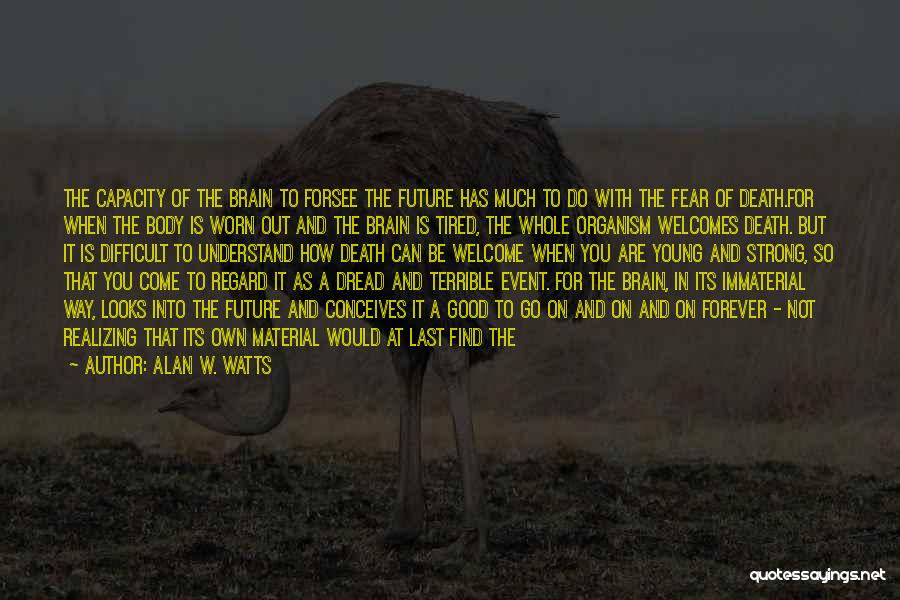 Immaterial Quotes By Alan W. Watts