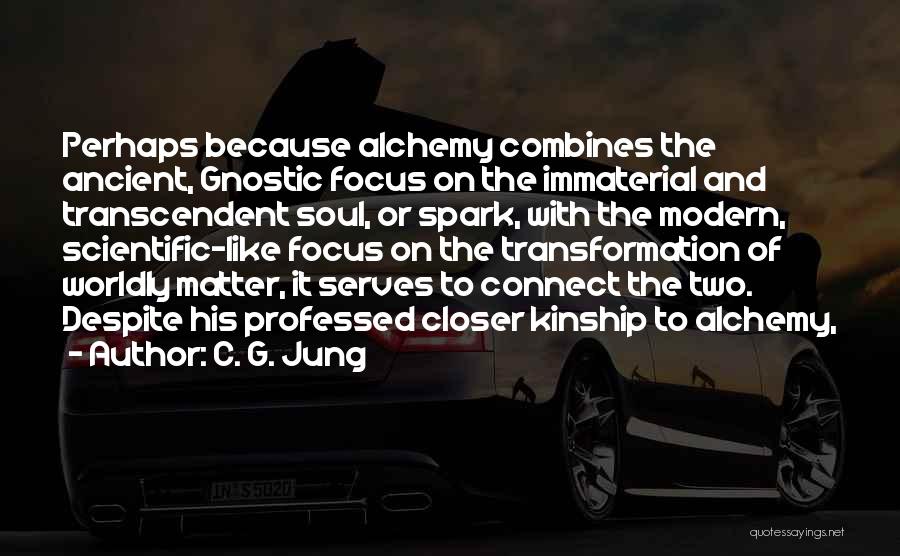 Immaterial Quotes By C. G. Jung