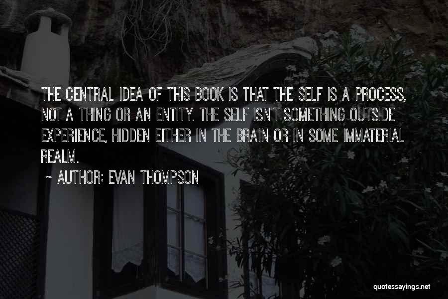 Immaterial Quotes By Evan Thompson