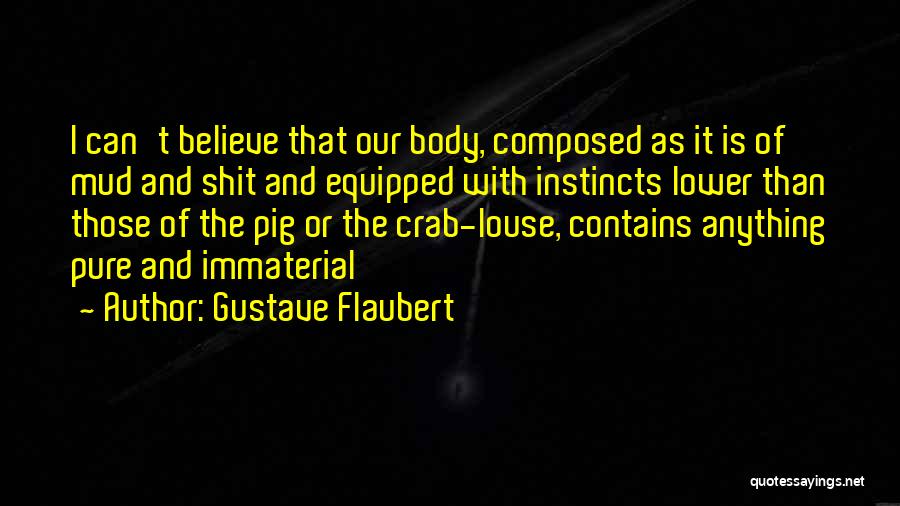 Immaterial Quotes By Gustave Flaubert