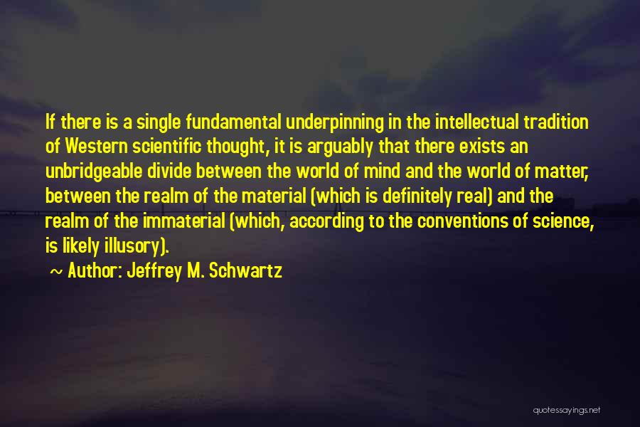 Immaterial Quotes By Jeffrey M. Schwartz