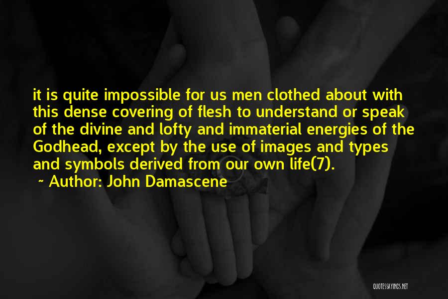 Immaterial Quotes By John Damascene