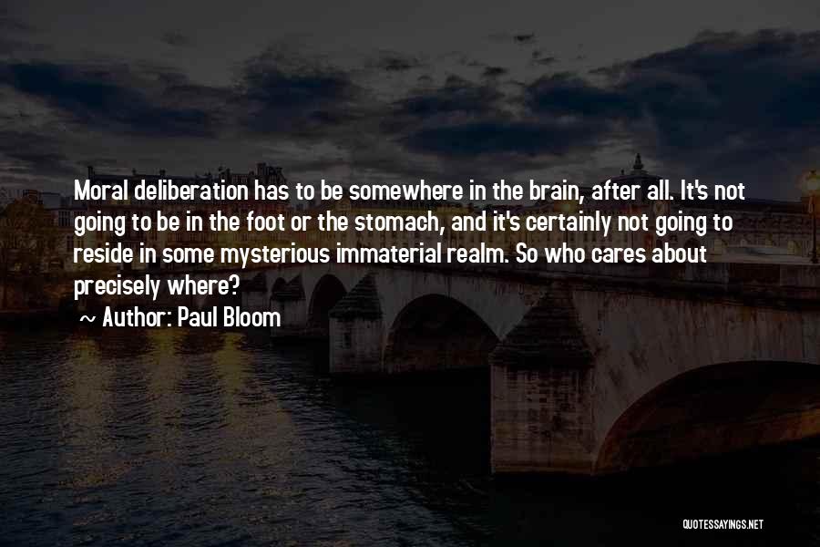 Immaterial Quotes By Paul Bloom