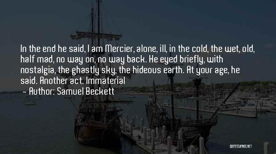 Immaterial Quotes By Samuel Beckett