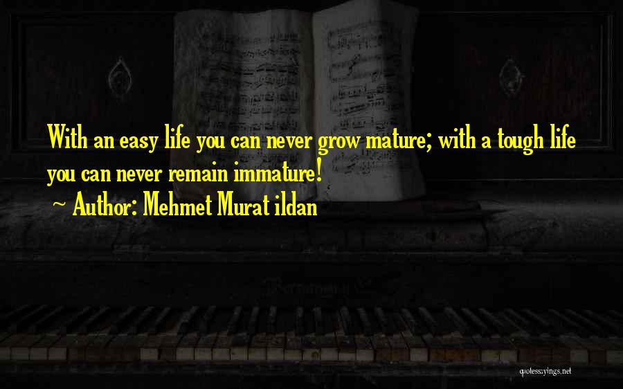 Immature And Mature Quotes By Mehmet Murat Ildan