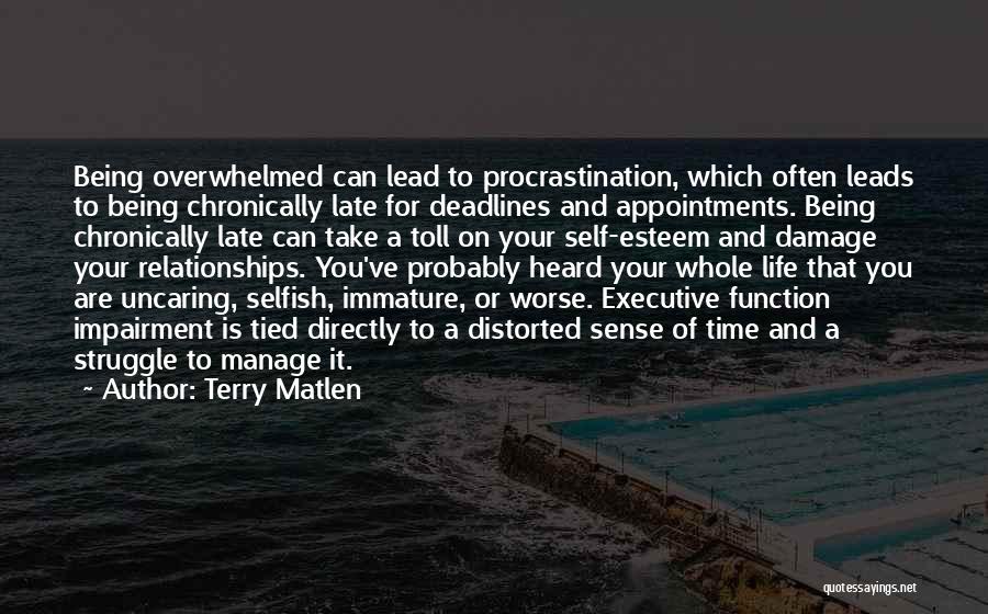 Immature And Selfish Quotes By Terry Matlen