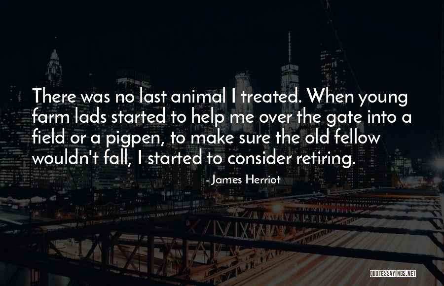 Immature Grown Up Quotes By James Herriot Immature Grown Up Quotes By James Herriot
