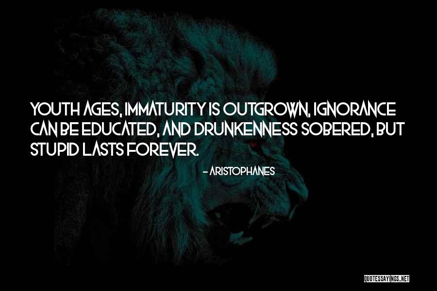 Immaturity Quotes By Aristophanes