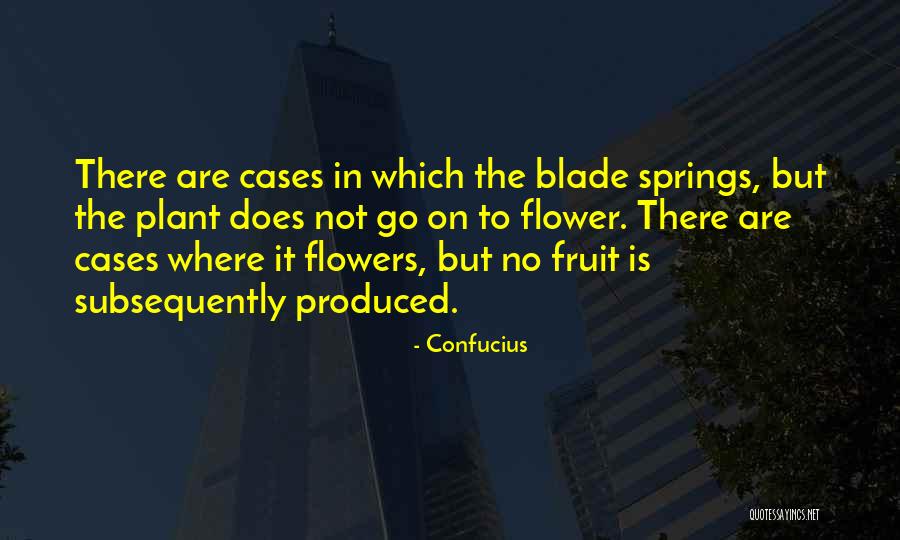 Immaturity Quotes By Confucius Immaturity Quotes By Confucius