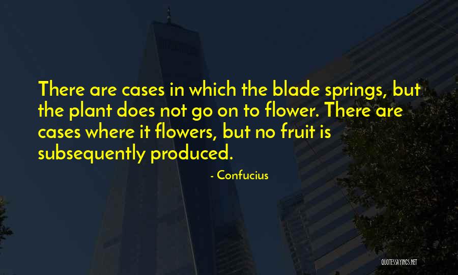 Immaturity Quotes By Confucius