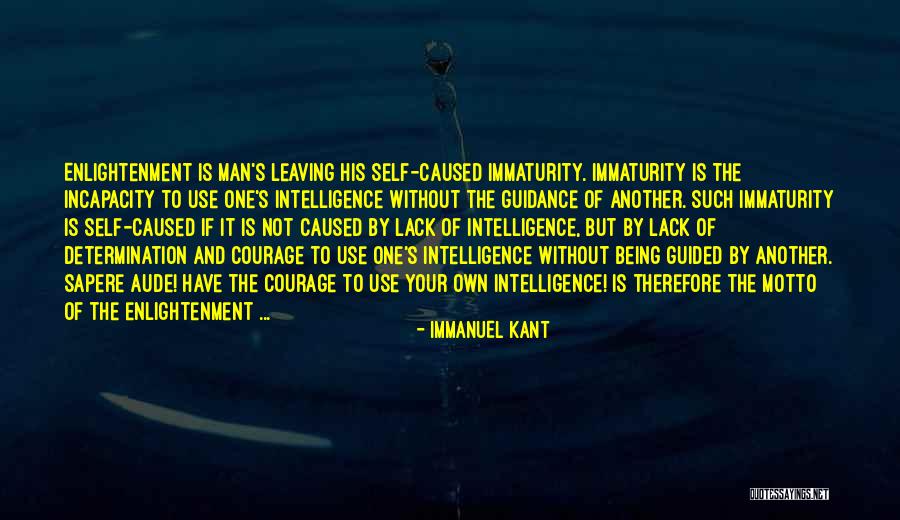 Immaturity Quotes By Immanuel Kant