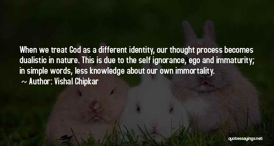 Immaturity Quotes By Vishal Chipkar