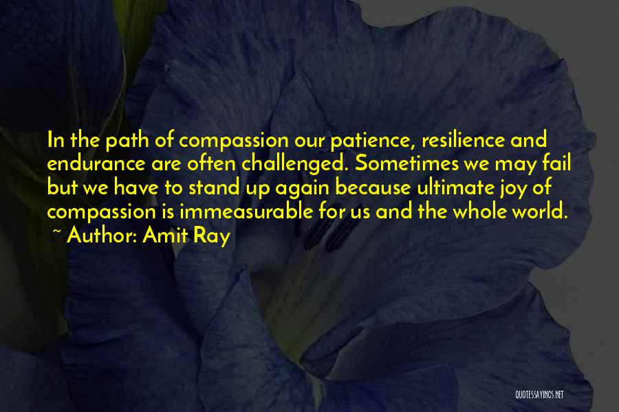 Immeasurable Joy Quotes By Amit Ray