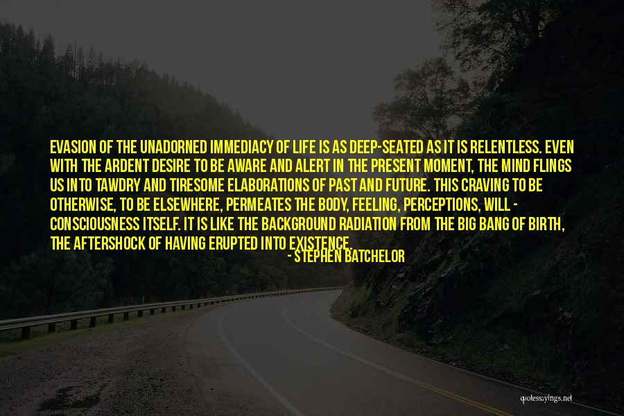 Immediacy Quotes By Stephen Batchelor