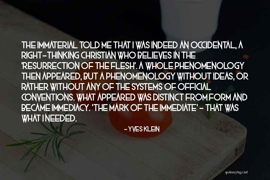 Immediacy Quotes By Yves Klein