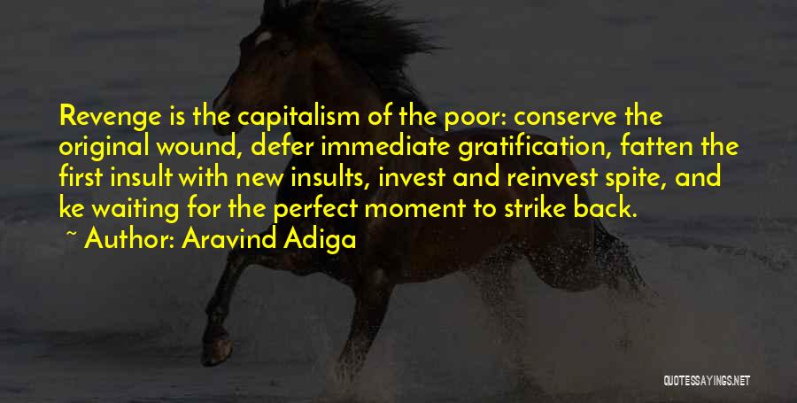 Immediate Gratification Quotes By Aravind Adiga