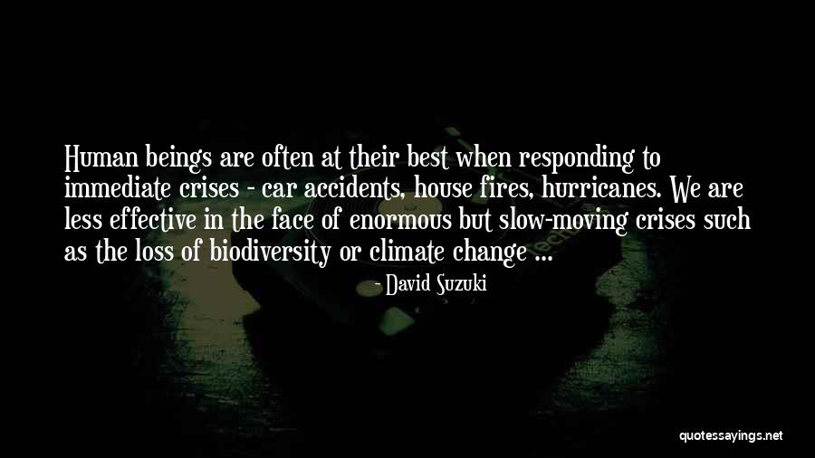 Immediate Moving Quotes By David Suzuki