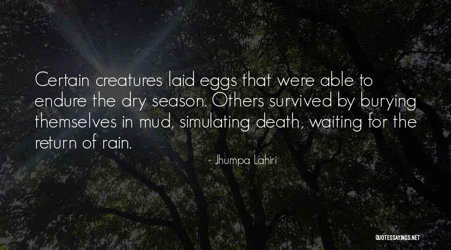 Immediator Quotes By Jhumpa Lahiri Immediator Quotes By Jhumpa Lahiri