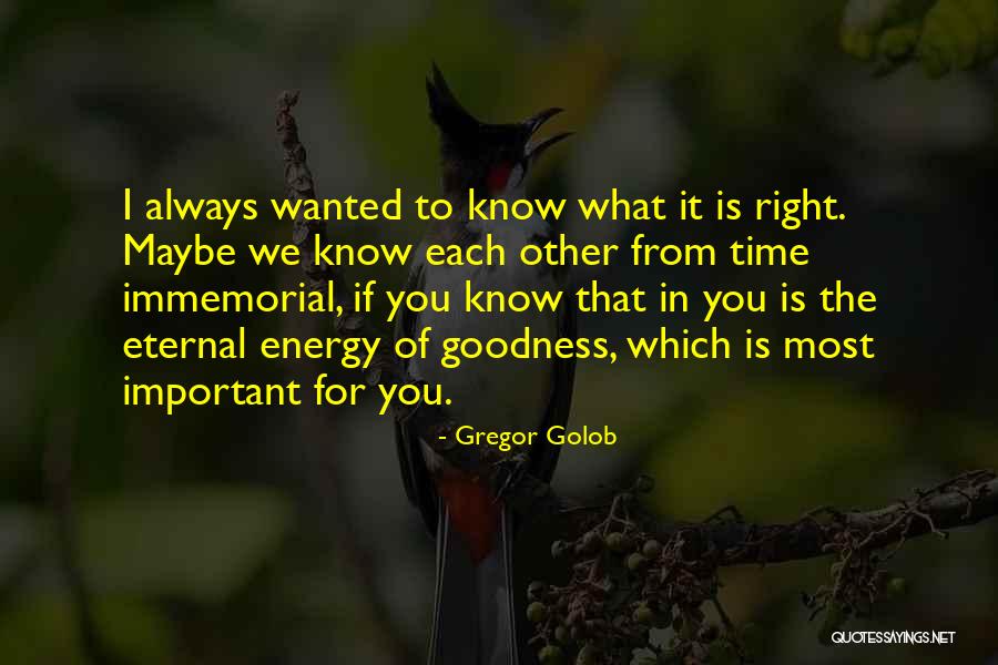 Immemorial Quotes By Gregor Golob Immemorial Quotes By Gregor Golob