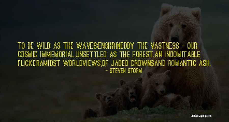 Immemorial Quotes By Steven Storm Immemorial Quotes By Steven Storm