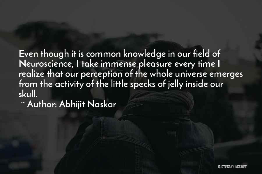 Immense Pleasure Quotes By Abhijit Naskar