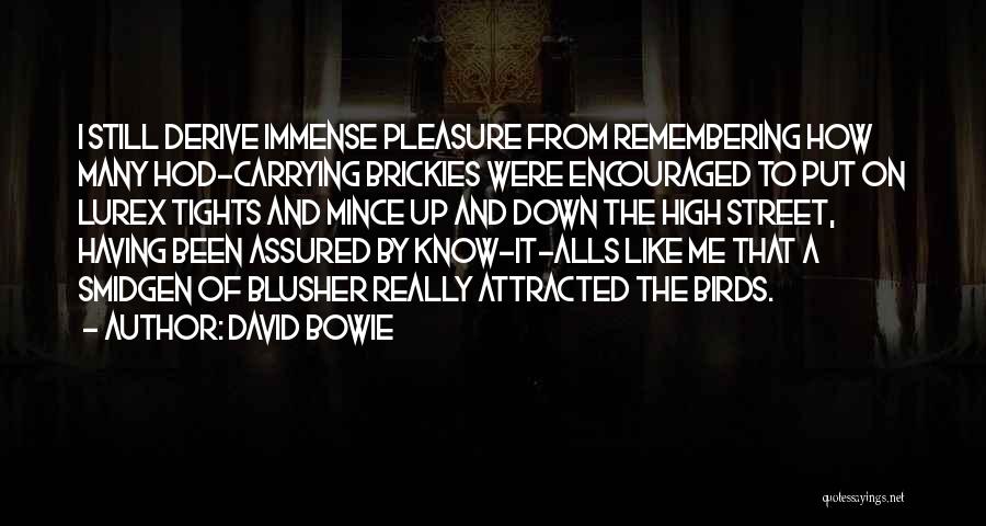 Immense Pleasure Quotes By David Bowie